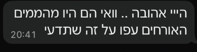 ביקורת לקוח 13